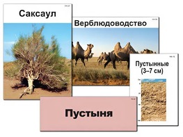 Модель-аппликация "Природные зоны России" (ламинированная) - fgospostavki.ru - Норильск