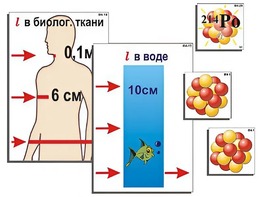 Модель-аппликация "Явление радиоактивности" (ламинированная) - fgospostavki.ru - Норильск