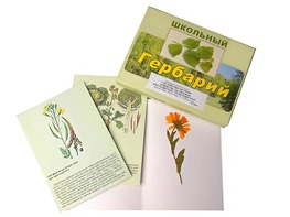 Гербарий "Систематика растений. Семейство Пасленовые. Крестоцветные. Сложноцветные" (раздаточный) - fgospostavki.ru - Норильск