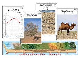 Модель-аппликация "Природные зоны" - fgospostavki.ru - Норильск