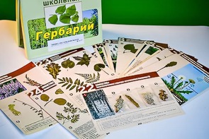 Гербарий к курсу основ общей биологии - fgospostavki.ru - Норильск