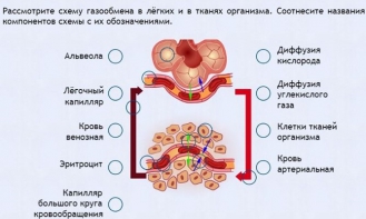 Интерактивные курсы. Биология 9 класс. Расширенный. - fgospostavki.ru - Норильск