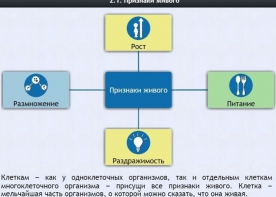 Интерактивные курсы. Биология 5 класс. Базовый - fgospostavki.ru - Норильск