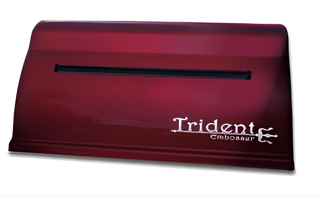 Принтер для печати рельефно-точечным шрифтом Брайля Trident - fgospostavki.ru - Норильск