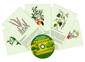 Интерактивный наглядный комплекс "Гербарий "Для начальной школы" - fgospostavki.ru - Норильск