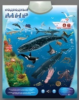 Озвученный плакат "Подводный мир" - fgospostavki.ru - Норильск