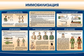 Стенд "Иммобилизация" - fgospostavki.ru - Норильск