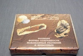Коллекция "Формы сохранности ископаемых растений и животных" - fgospostavki.ru - Норильск