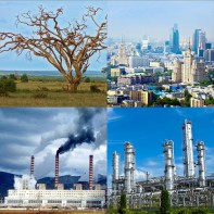 Модель-аппликация Биосфера и человек - fgospostavki.ru - Норильск