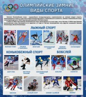 Стенд "Олимпийские зимние виды спорта" - fgospostavki.ru - Норильск