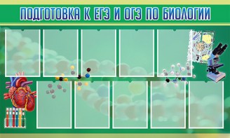Стенд "Подготовка к ЕГЭ и ОГЭ по биологии" Вариант 2 - fgospostavki.ru - Норильск