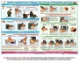 Комплект плакатов "Оказание первой доврачебной медицинской помощи" - fgospostavki.ru - Норильск
