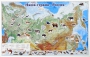Магнитные карточки "Животные" - fgospostavki.ru - Норильск