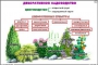 Комплект кодотранспарантов "Культурные растения" - fgospostavki.ru - Норильск
