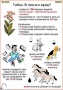 Комплект кодотранспарантов "Ядовитые растения" - fgospostavki.ru - Норильск