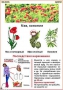 Комплект кодотранспарантов "Ядовитые растения" - fgospostavki.ru - Норильск